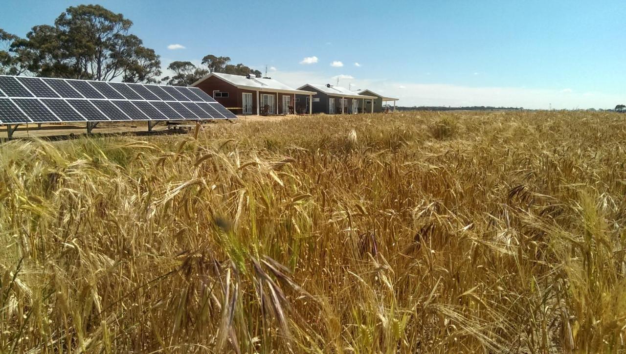 Mary'S Farm Cottages Kukerin Εξωτερικό φωτογραφία